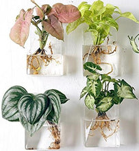 Load image into Gallery viewer, Set of 4 Wall Mountable Planters - 5