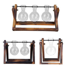 Load image into Gallery viewer, Glass Terrarium Tabletop Planter - 11