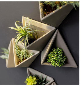 Cement Triangular Wall Vase - 4