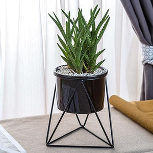 Geometric Ceramic Planter with Stand - 3