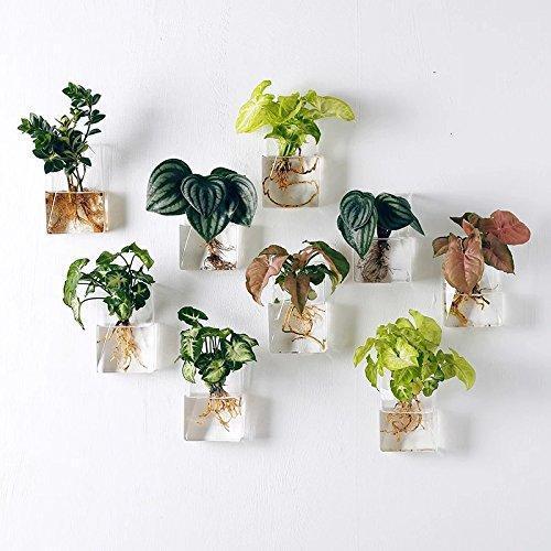 Set of 4 Wall Mountable Planters - 1