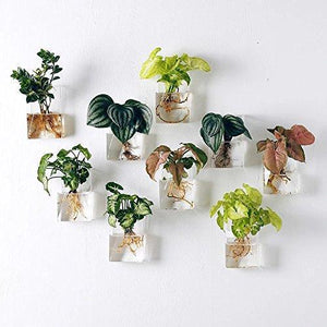 Set of 4 Wall Mountable Planters - 1