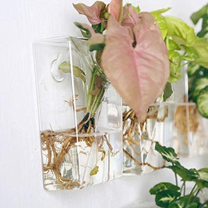 Set of 4 Wall Mountable Planters - 4