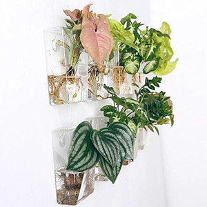 Set of 4 Wall Mountable Planters - 6