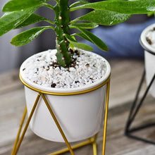 Load image into Gallery viewer, Geometric Ceramic Planter with Stand - 6
