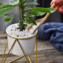 Load image into Gallery viewer, Geometric Ceramic Planter with Stand - 7
