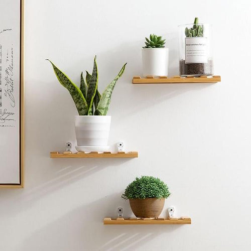 Quis - Bamboo Plank Shelf - 1