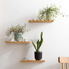 Load image into Gallery viewer, Quis - Bamboo Plank Shelf - 3
