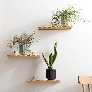 Quis - Bamboo Plank Shelf - 3