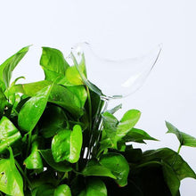 Load image into Gallery viewer, Birdly - Automatic Water Drip Bird Planters Set of Two - 4
