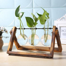 Load image into Gallery viewer, Glass Terrarium Tabletop Planter - 1
