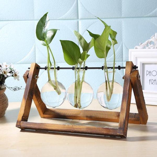 Glass Terrarium Tabletop Planter - 1