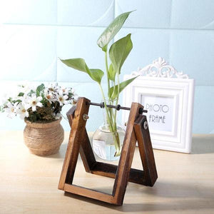 Glass Terrarium Tabletop Planter - 3