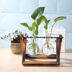 Glass Terrarium Tabletop Planter - 2