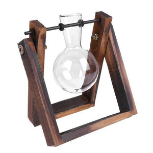 Glass Terrarium Tabletop Planter - 8