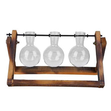 Load image into Gallery viewer, Glass Terrarium Tabletop Planter - 5
